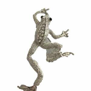 Broche kikker zilverkleurig