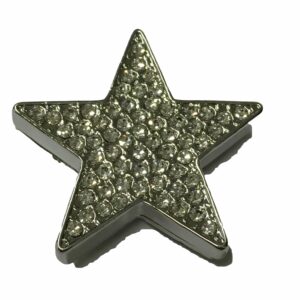 Magneetbroche ster zilverkleurig