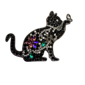 Broche kat zwart met strass en vlinder