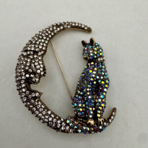 Broche kat met grote maan met strass steentjes