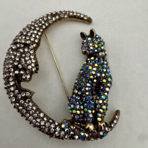 Broche kat met grote maan met strass steentjes