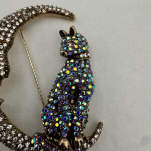 Broche kat met grote maan met strass steentjes