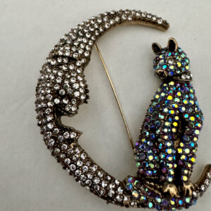 Broche kat met grote maan met strass steentjes