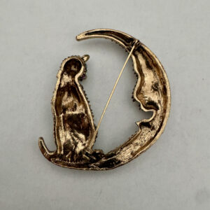 Broche kat met grote maan met strass steentjes